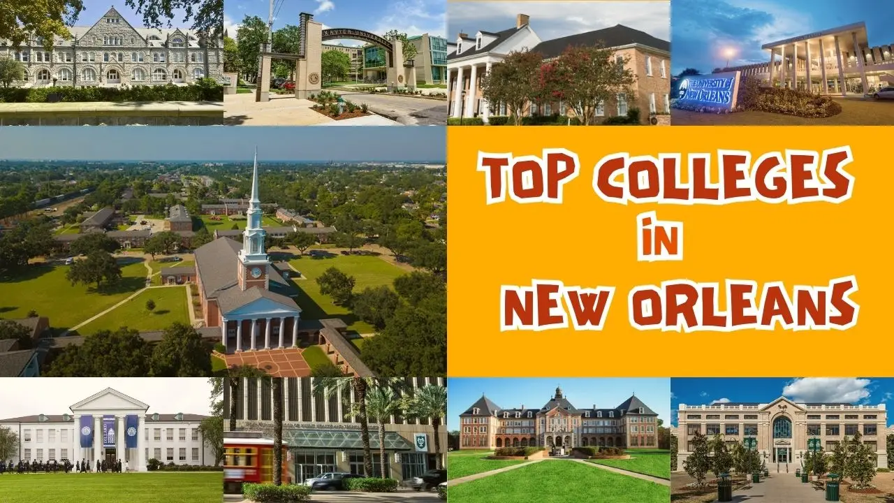 top colleges in new orleans