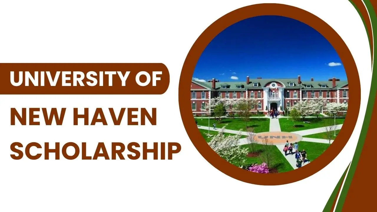 university of new haven scholarship